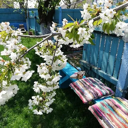 Casa Bunicilor Granny's House Hébergement de vacances