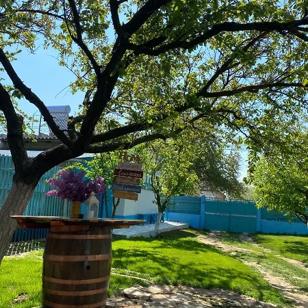 Casa Bunicilor Granny's House Jurilovca