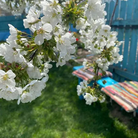 Casa Bunicilor Granny's House