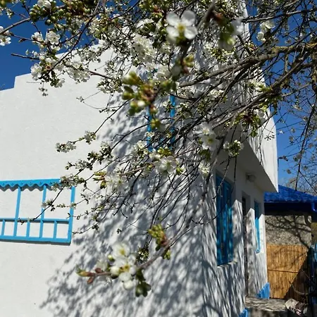 Casa Bunicilor Granny's House Hébergement de vacances