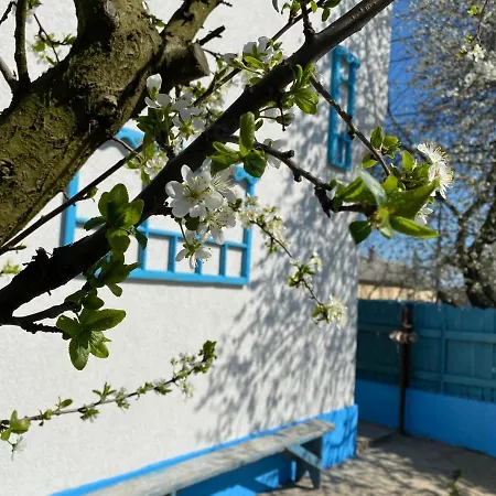 Casa Bunicilor Granny's House