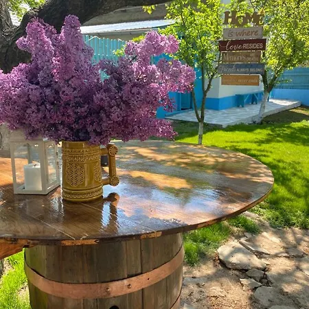 Casa Bunicilor Granny's House * Jurilovca