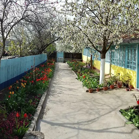 Casa Bunicilor Granny's House * Jurilovca