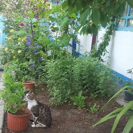 Casa Bunicilor Granny's House * Jurilovca