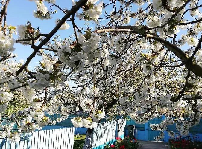 Casa Bunicilor Granny's House Case de vacanță *