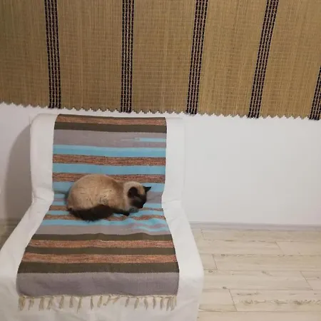 Casa Bunicilor Granny's House * Jurilovca