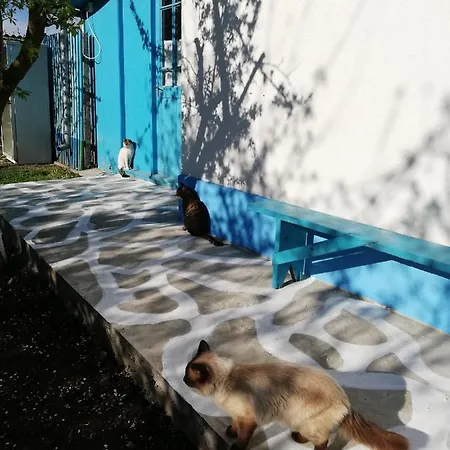 Casa Bunicilor Granny's House Nyaraló