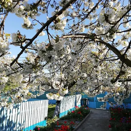 Casa Bunicilor Granny's House Semesterbostad *