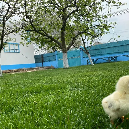 Casa Bunicilor Granny's House Jurilovca