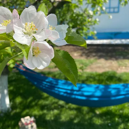 Casa Bunicilor Granny's House Nyaraló *