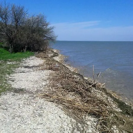 Casa Bunicilor Granny's House *