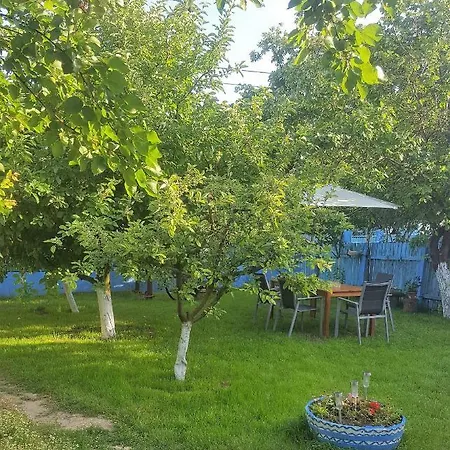 Casa Bunicilor Granny's House Nyaraló *